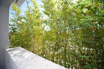 Mar Vista Lofts  - Balcony/Patio